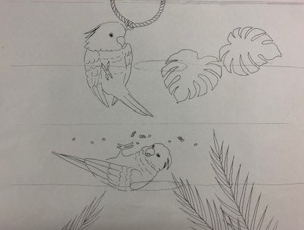 oumusitae2